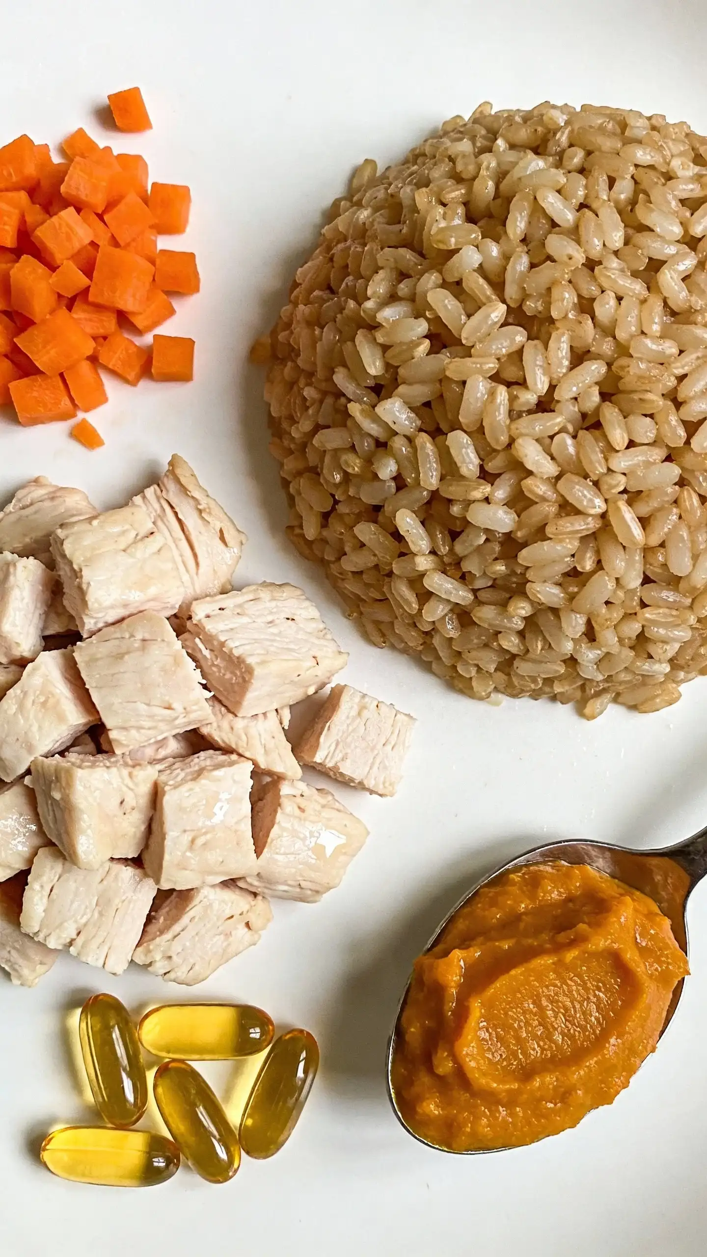 Overhead macro shot of separated ingredients on a clean white plate, ready to combine for dog food: neatly chopped cooked chicken breast, a mound of plain cooked brown rice, a small pile of finely chopped steamed carrots, a spoonful of plain canned pumpkin, and a few fish oil capsules off to the side (unpierced). Bright, natural kitchen light, high detail showing textures and moisture, minimal styling, no extra spices or garnishes.