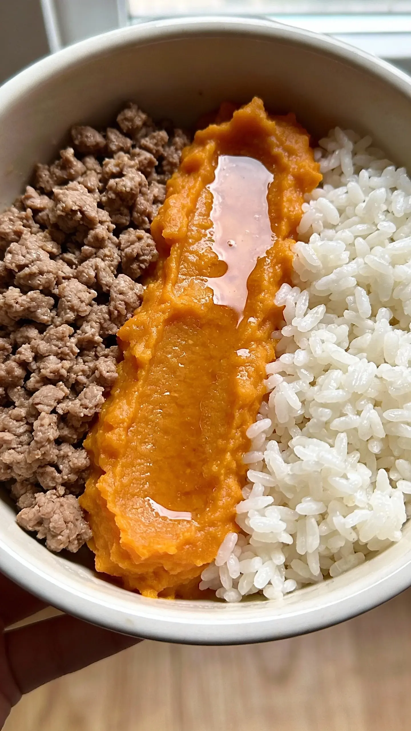 Ultra-closeup, overhead shot of a homemade dog food bowl featuring lean ground beef (lightly browned, no visible grease), smooth mashed pumpkin (bright orange, slightly glossy), and fluffy steamed white rice (distinct grains), arranged in neat thirds with a small drizzle of warm low-sodium beef broth glistening between sections; natural window light, shallow depth of field, neutral wooden surface beneath the bowl, no text, no utensils, focus on clean, gentle, easily digestible ingredients.