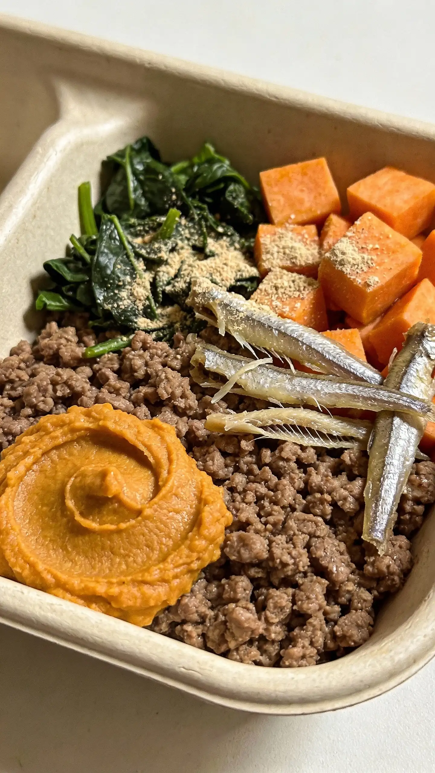Macro shot of a meal-prep tray compartment with a complete and balanced beef dog food portion: gently sautéed 90% lean ground beef, chopped spinach wilted into the beef, steamed diced sweet potato cubes, and a measured scoop of plain pumpkin puree swirled in; a few whole sardines (boneless, skin-on) flaked into the mix for omega-3s; powdered canine multivitamin/mineral premix lightly sprinkled on top; clean, matte ceramic surface, high-resolution detail of ingredients, soft side lighting, no props, no labels.