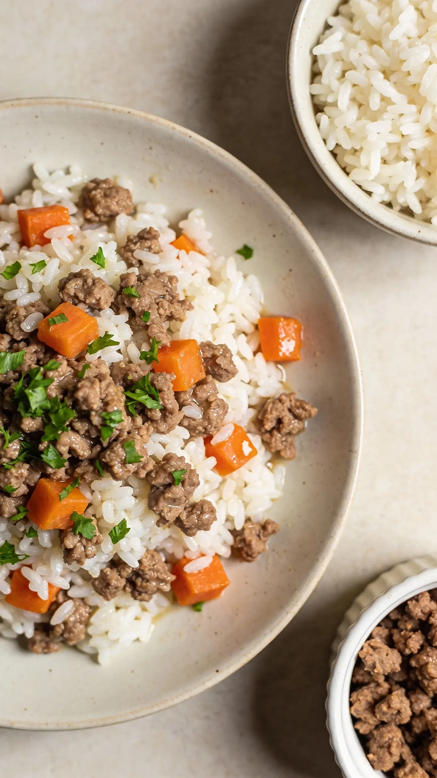 Close-up overhead shot of a freshly cooked homemade dog meal: fluffy white rice mixed with finely crumbled 93% lean ground beef, small diced carrots, and a sprinkle of chopped flat-leaf parsley for color. Ingredients are moist but not greasy, with visible steam and natural textures. Shot in soft daylight on a neutral ceramic plate, with a small bowl of plain cooked rice and a separate ramekin of browned lean beef crumbles partially visible at the edge for context. No utensils, no labels, no text.