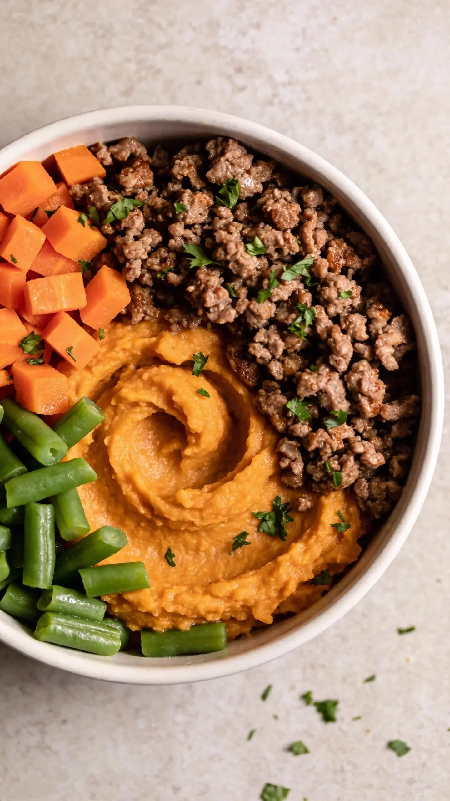 Ultra-closeup overhead shot of a freshly prepared homemade dog food bowl: lean ground beef crumbles lightly browned, soft mashed sweet potato swirls, finely diced carrots, chopped green beans, and a sprinkle of chopped parsley for freshness. Natural daylight on a neutral stone countertop, shallow depth of field focusing on the moist texture of the beef and creamy sweet potato, no utensils, no text, clean minimalist background.