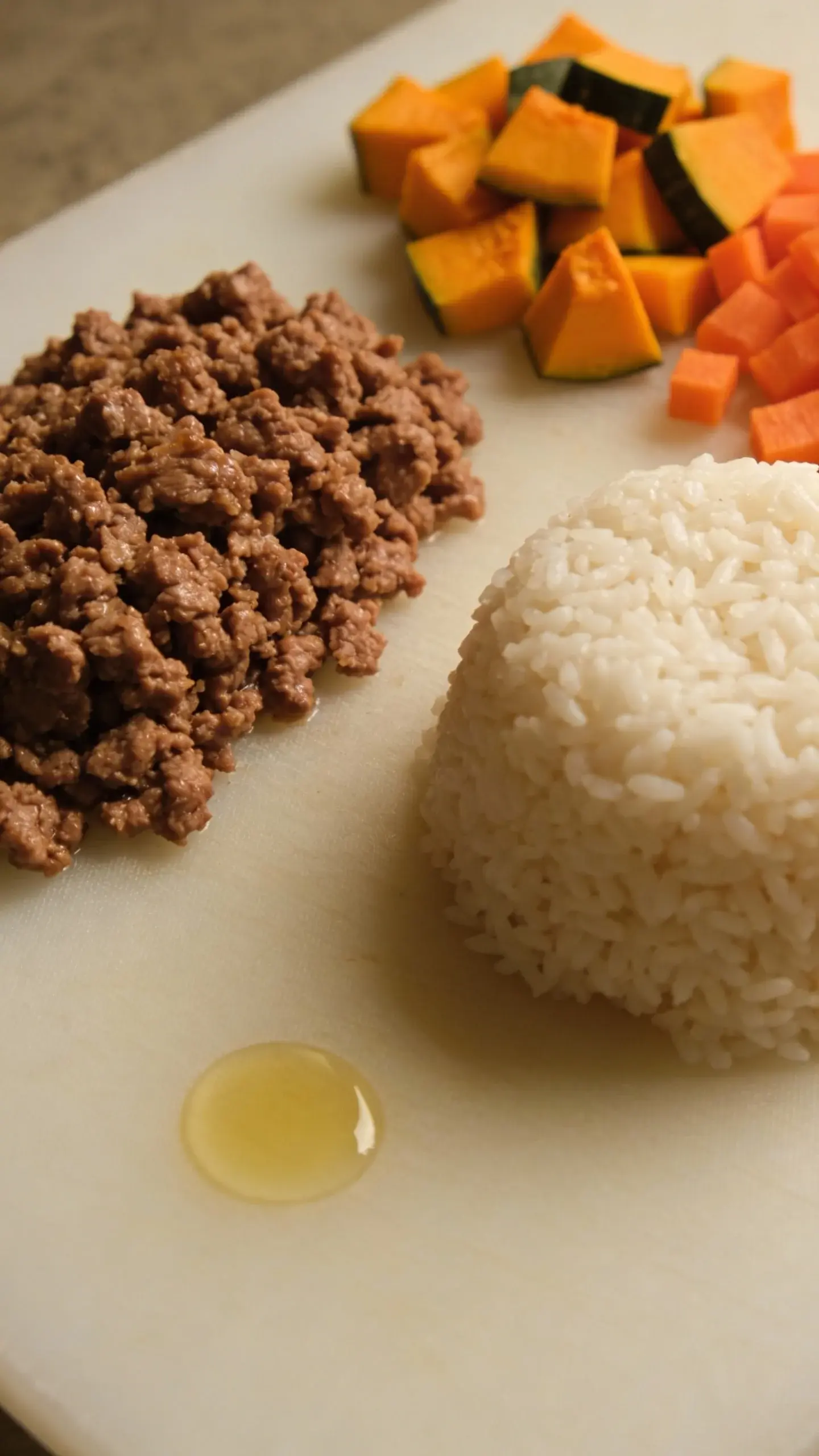 Macro shot of ingredients laid out on a clean cutting board before mixing: a neat pile of browned, well-drained extra-lean ground beef, a mound of fluffy plain white rice, finely chopped steamed pumpkin and carrots, and a tiny splash of salmon oil beading on the surface nearby. Muted, warm light, no labels or packaging, no text, minimalist composition focused on texture and freshness.